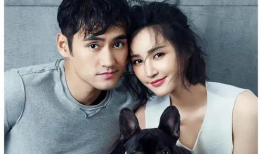 明星吃瓜爆料贴吧最新,明星吃瓜大揭秘，幕后真相令人震惊！